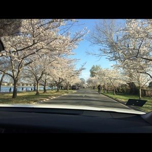 Meet your Posher, Fany